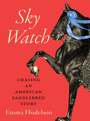 cover image of Sky Watch
